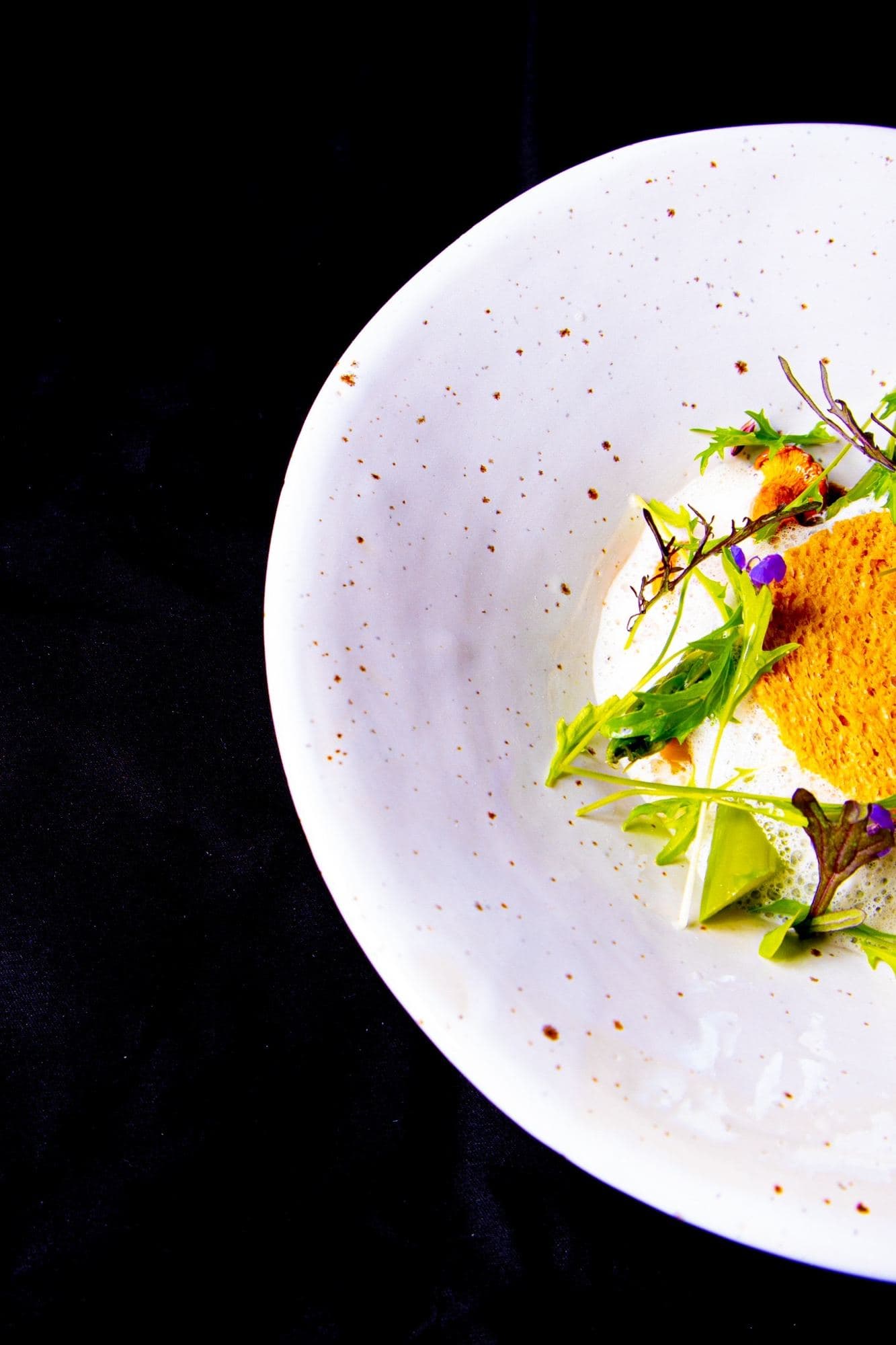 Assiette gastronomique dressée, jeu d'ombre et de lumière
